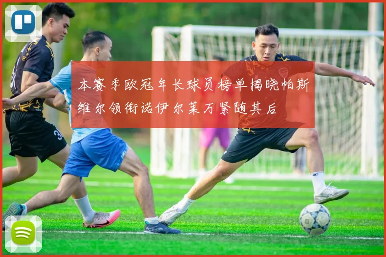 本赛季欧冠年长球员榜单揭晓帕斯维尔领衔诺伊尔莱万紧随其后