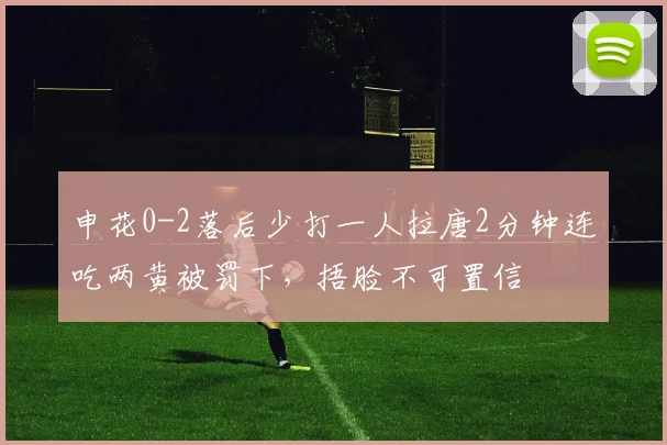 申花0-2落后少打一人拉唐2分钟连吃两黄被罚下，捂脸不可置信