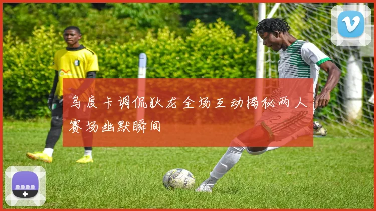 乌度卡调侃狄龙全场互动揭秘两人赛场幽默瞬间